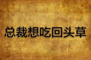 總裁想吃回頭草 總裁想吃回頭草
