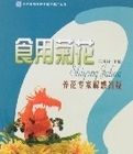食用菊花養花專家解惑答疑 食用菊花養花專家解惑答疑