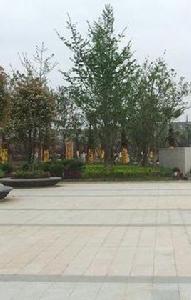 楊埠鄉[江西上饒餘干縣楊埠鎮]