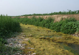 大凌河西支 大凌河西支