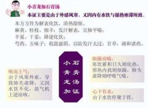 小青龍加石膏湯 小青龍加石膏湯