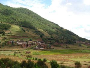 蒼莆塘村 蒼莆塘村