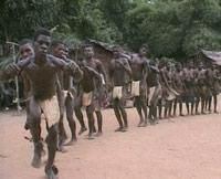 阿卡俾格米人 阿卡俾格米人