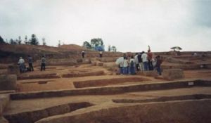 縛婁古國 縛婁古國