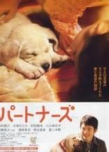 《陪伴》 《陪伴》