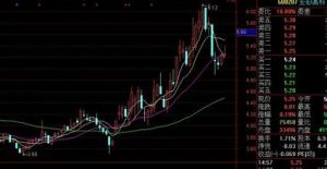 股票除息 股票除息