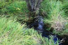 圖們江源頭，攝影：揚眉