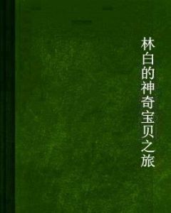 林白的神奇寶貝之旅 林白的神奇寶貝之旅