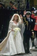 莎拉&middot;弗格森