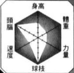 紫菀各方面的力量分析圖