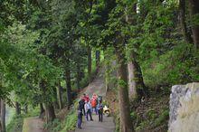 四野屯省級自然保護區