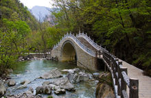 陝西牛背梁國家森林公園