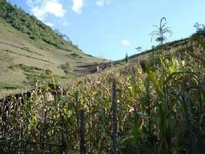 遷都王地村 遷都王地村