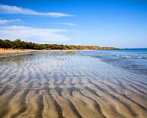 瓜納卡斯特自然保護區