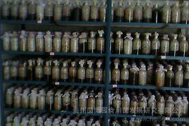 衛生部辦公廳關於印發可用於食品的菌種名單的通知 衛生部辦公廳關於印發可用於食品的菌種名單的通知