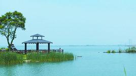 盛澤湖景區 盛澤湖景區