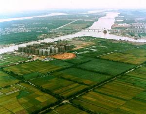 沖積平原 沖積平原