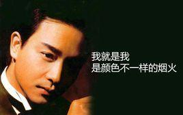 我就是我不一樣的煙火 我就是我不一樣的煙火