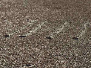 美國死亡谷內自行移動的石頭