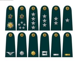 美國陸軍軍銜