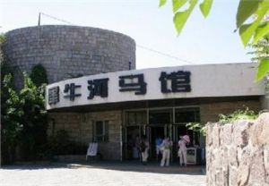 北京動物犀牛河馬館