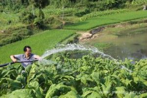 關興號村 關興號村