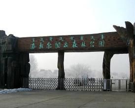 海拉爾國家森林公園