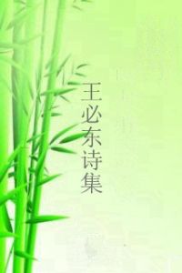 王必東詩集 王必東詩集