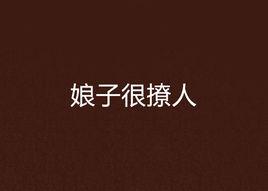 娘子很撩人 娘子很撩人