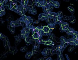 原癌基因 原癌基因