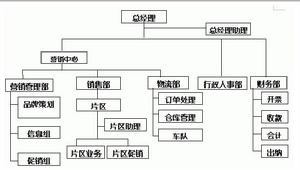 區域型銷售組織