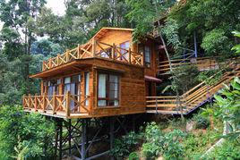 樹屋酒店