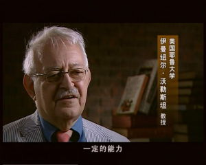 伊曼紐·沃勒斯坦