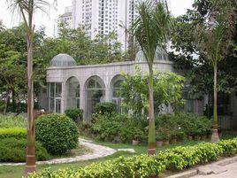 深圳市石廈中學 深圳市石廈中學