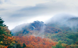 鐵嶺西豐城子山