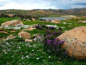 海子山保護區 海子山保護區