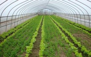 爽快農莊 爽快農莊