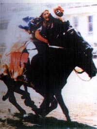 《落鳥》 《落鳥》