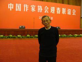 陳雍[作家、記者]