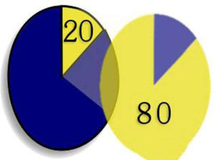 二八分化 二八分化