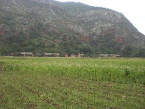 岩腳下村 岩腳下村