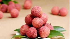 孫記荔枝果園 孫記荔枝果園