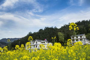 魯竹壩村 魯竹壩村