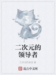 二次元的領導者 二次元的領導者