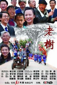 枯藤老樹 枯藤老樹