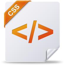 CSS 文本 CSS 文本