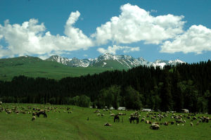 巴里坤大草原 巴里坤大草原