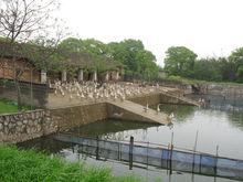 圖3 興國灰鵝原種場鵝舍