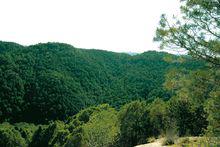 烏金山[避暑勝地]