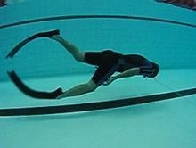 屏氣潛水 屏氣潛水